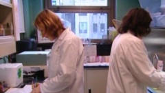 Des tests en laboratoire