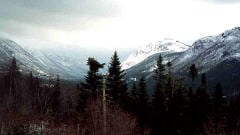 Parc national de la Gaspésie