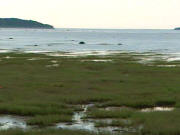 Estuaire du Saint-Laurent