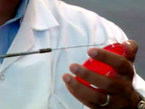 Examen en laboratoire