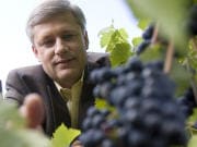 Stephen Harper dans un vignoble de Saint-Eustache