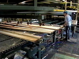 Usine forestière