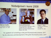 Les trois laur�ats du Nobel 2008 de chimie, Osamu Shimomura, Martin Chalfie et Roger Y. Tsien.