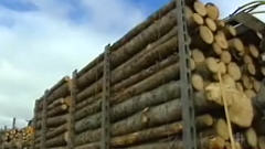 chargement-camion-bois