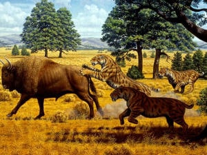 smilodon-tigre-chasse
