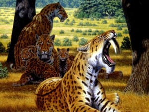 smilodon-tigre