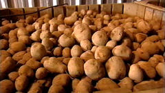 Pommes de terre