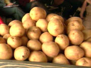 pommes de terre