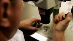 labo-microscope