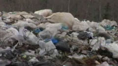Déchets