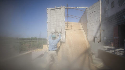 Livraison de grains