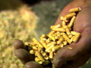 Granules de bois