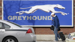 Greyhound.
