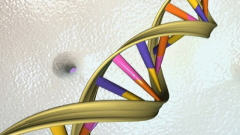 ADN - g�nome