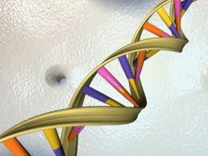 adn-genome