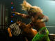 The wrestler