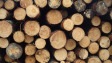 Industrie foresti�re