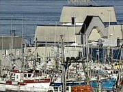 pecheries-marinard