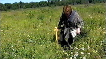 Sylviculture