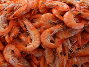 Crevettes