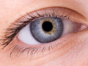Oeil
