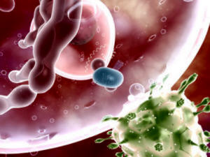 vih-sida-virus