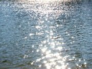Lac