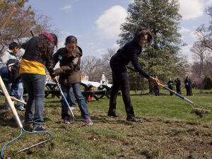 Michelle Obama prépare le potager de la Maison-Blanche.
