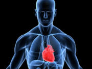 coeur-corps