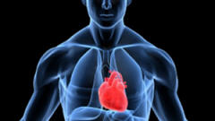 coeur-corps