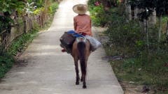 Une paysanne philippine