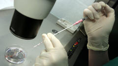Laboratoire