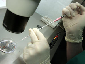 Laboratoire