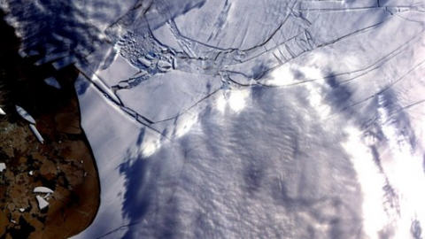Banquise dans la Barri�re de glace Wilkins