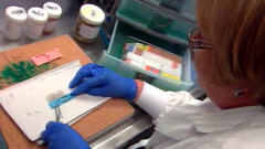 Laboratoire
