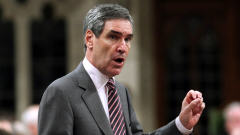 Le chef lib�ral Michael Ignatieff � la Chambre des communes