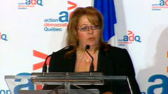 Sylvie Roy