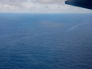 Une photo prise par l'armée de l'air brésilienne montrant des traces de pétrole à l'endroit où l'avion se serait abîmé