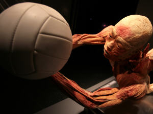 Exposition « Bodies », présentée en Espagne en 2008