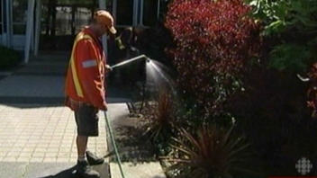 Employ� municipal de Toronto arrose une plante