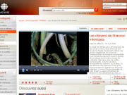 Le reportage sur les eaux contamin�es de Shannon
