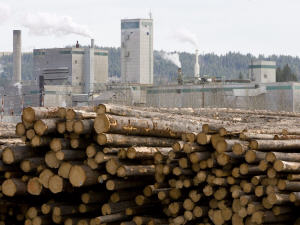 L'usine West Fraser Timber de Quesnel, en Colombie-Britannique (archives)