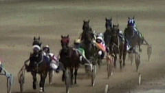 Course de chevaux