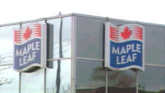 L'entreprise Maple Leaf