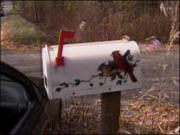 Boîte postale en milieu rural