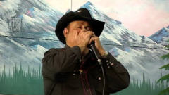 Harmonica
