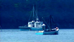 Bateaux de pêche