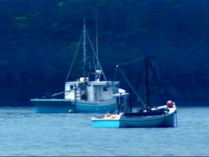 Bateaux de pêche