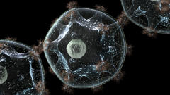 Virus du VIH