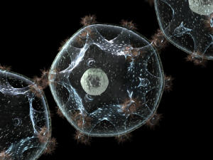 VIH-sida-virus